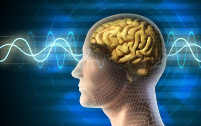 Mejora tu cerebro optimizando tus ondas cerebrales