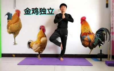 Meditación Jin Ji Du Li (gallo dorado parado en una pata)